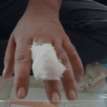 जोगसर थाना क्षेत्र के कालीचरण मोहल्ले में रजनीश राय के परिवार पर जानलेवा हमला, थाना में नहीं हुई एफआईआर दर्ज