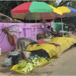 सौंदर्यीकरण पर फुटपाथी संकट,निगम की सख्ती बनाम दुकानदारों का विरोध