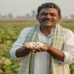 किसानों की आय बढ़ाने के लिए नई नीतियों पर मंथन तेज !