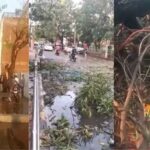 बिहार में आंधी-बारिश और वज्रपात का कहर, जनजीवन अस्त-व्यस्त !