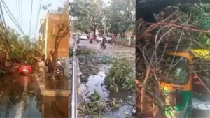 बिहार में आंधी-बारिश और वज्रपात का कहर, जनजीवन अस्त-व्यस्त !