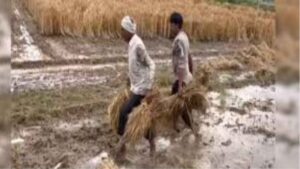 तेज गर्मी और बदलते मौसम के बीच किसानों के लिए नई एडवाइजरी जारी !