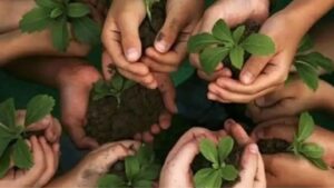 पर्यावरण संरक्षण के लिए देशभर में तेज हुए हरित अभियान !