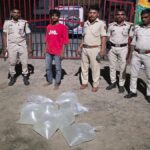 शराब तस्करों पर पुलिस का बड़ा वार, 80 लीटर देसी चुलाई शराब के साथ तस्कर गिरफ्तार