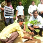विश्व पर्यावरण दिवस पर बोकारो में पौधारोपण अभियान, डीसी-एसपी ने दिया पर्यावरण संरक्षण का संदेश