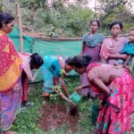 विश्व पर्यावरण दिवस पर जनजातीय महिलाओं ने किया वृक्षारोपण, ‘एक पेड़ मां के नाम’ अभियान में भी बढ़-चढ़कर भागीदारी