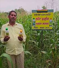 रामगढ़ के आम का दुबई तक जलवा