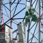 मोबाइल टावर पर चढ़ी युवती, पुलिस की कड़ी मशक्कत के बाद नीचे उतारा गया, पूछताछ जारी