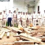 बोकारो में वन विभाग की बड़ी कार्रवाई, अवैध लकड़ी तस्करी नेटवर्क का भंडाफोड़,