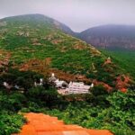 रूस से करीब 5,000 किमी की उड़ान भर बिहारशरीफ पहुंचे हजारों साइबेरियन प्रवासी पक्षी
