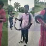 वाल्मीकिनगर के घर में घुसा 10 फीट लंबा कोबरा, महिला रेस्क्यूअर ने सुरक्षित किया रेस्क्यू
