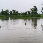 मानसून की पहली बारिश में बहा कदमवा घाट का चचरी पुल, नाव के सहारे आवागमन को मजबूर ग्रामीण