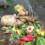 श्रावण की दूसरी सोमवारी पर बुढ़वा महादेव मंदिर में उमड़ी श्रद्धालुओं की भीड़,