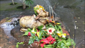 श्रावण की दूसरी सोमवारी पर बुढ़वा महादेव मंदिर में उमड़ी श्रद्धालुओं की भीड़,