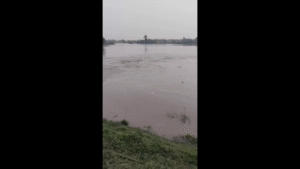 भागलपुर के राघोपुर में देर रात टूटा बांध, गांव में घुसा बाढ़ का पानी; ऊर्जा मंत्री का आवास भी प्रभावित