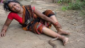 खेत से लौटते समय सांप ने काटा, 65 वर्षीय महिला की मौत