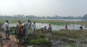 सेवा मेरा योगदान कार्यक्रम के तहत विधायक राज सिन्हा ने कार्यकर्ताओं संग की तालाबों की सफाई